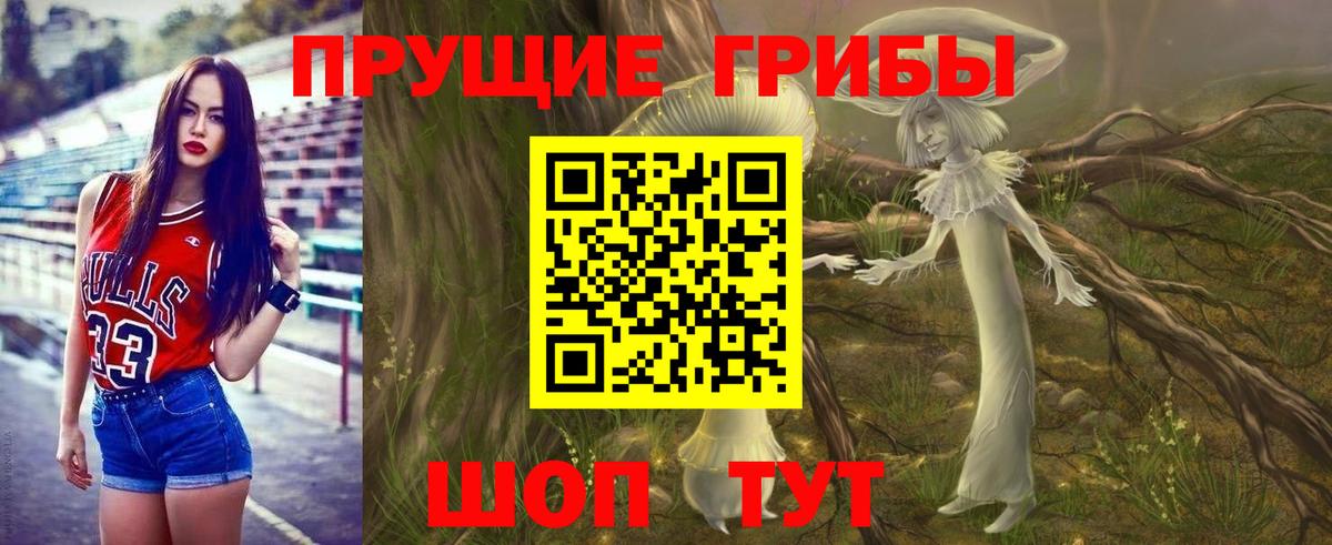 Галлюциногенные грибы Cubensis  Вход с VPN  Дубна 